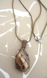 hanger versteend hout